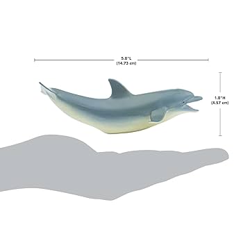 小物 Dolphinsohp Amazon.com : 3D LiveLife Notebook - Dolphin Kelp Bed from